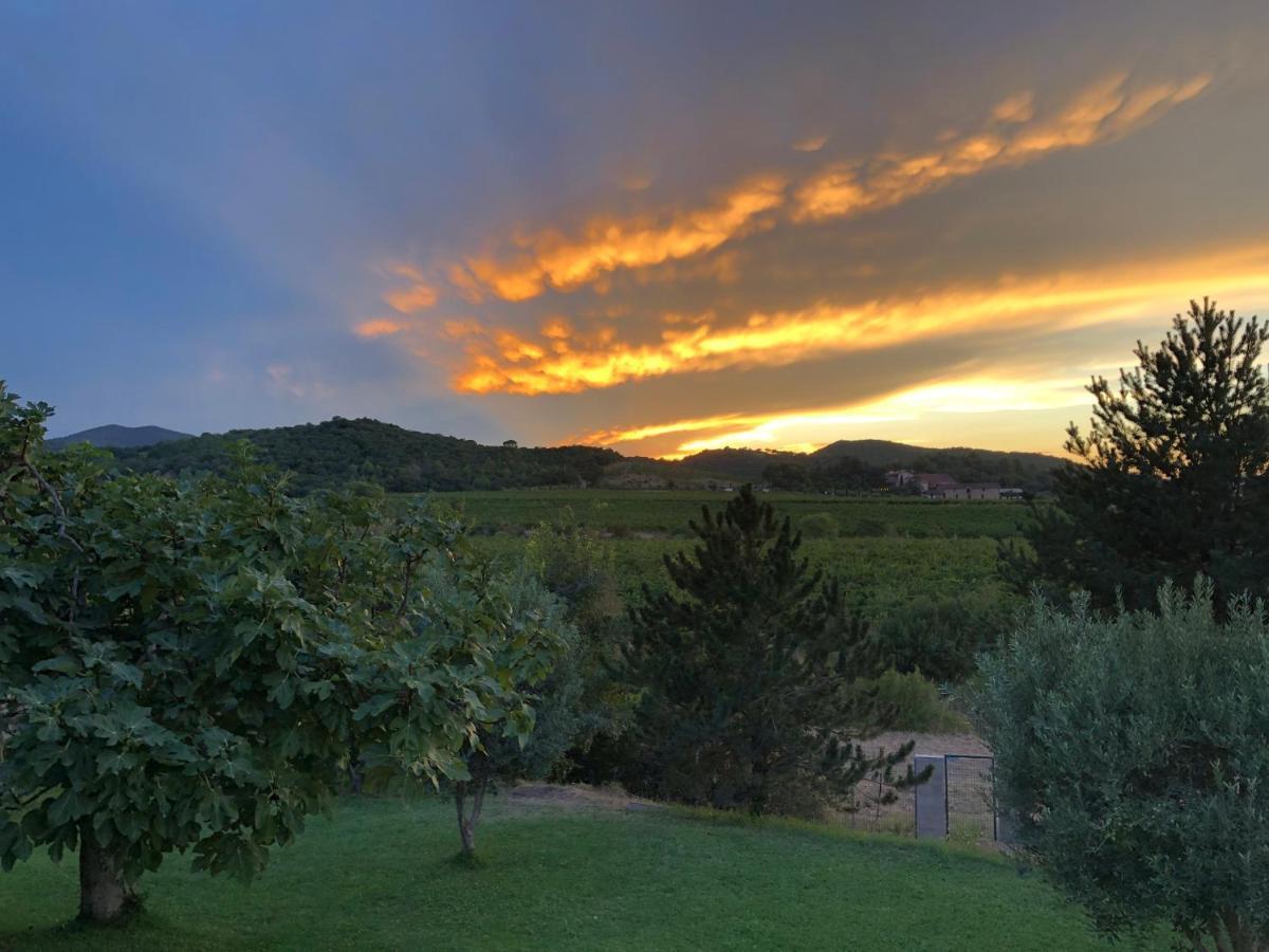 Castelnou Gite De L'Auxineill מראה חיצוני תמונה